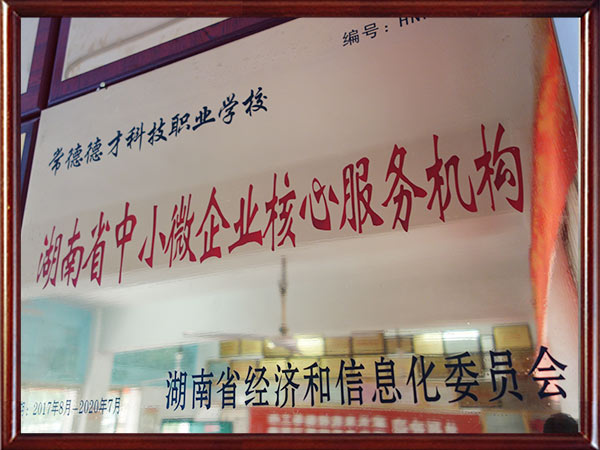 湖南省中小微企业核心服务机构