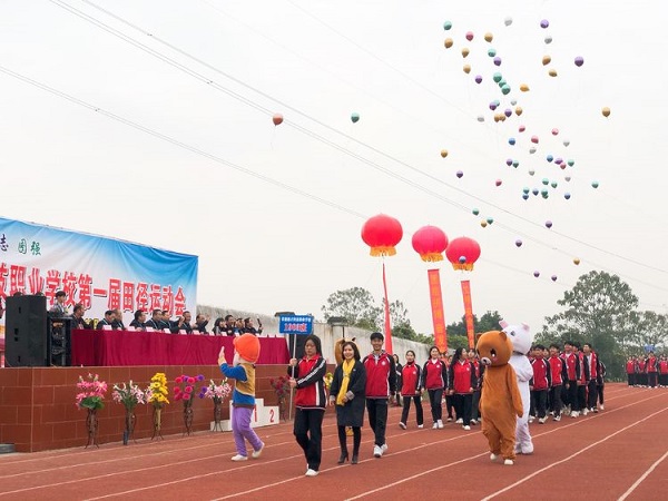 常德德才科技职业学校,常德招生就业,电子商务专业学校,专业学校报考哪里好